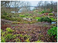 RHS Wisley 07