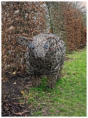 RHS Wisley 10
