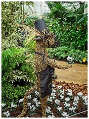 RHS Wisley 20