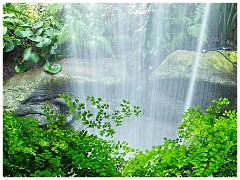 RHS Wisley 21