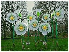 RHS Wisley 22