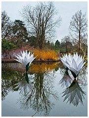 RHS Wisley 23