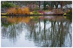 RHS Wisley 24