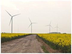 Graveley Wind Farm 01