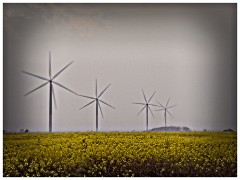 Graveley Wind Farm 04