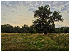 Grantchester
