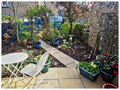 Garden in May 01
