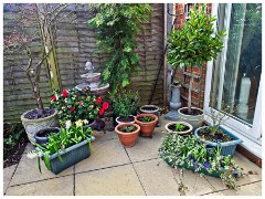Garden in May 02