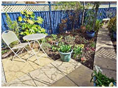 Garden in May 04