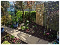 Garden in May 05