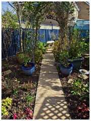 Garden in May 06