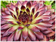 Scotsdale's Gardem Centre 14