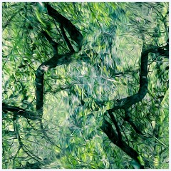 Creative 002