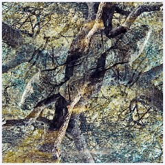 Creative 003