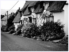 Elsworth 020  Cottages