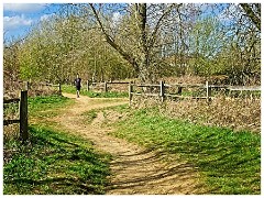 006 Cambourne in April  Cross Roads