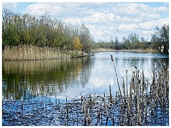 017 Cambourne in April  Redgrave Water