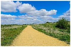 034 Cambourne in May  The Perimeter near the Main Road and Upper Cambourne