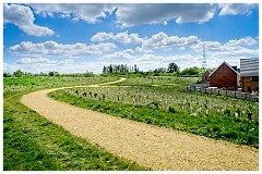 035 Cambourne in May  The Perimeter near the Main Road  and Upper Cambourne