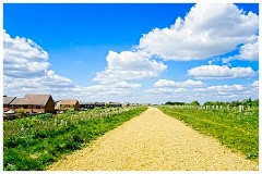 036 Cambourne in May  The Perimeter near the Main Road  and Upper Cambourne