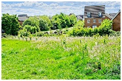 037 Cambourne in May  The Perimeter near the Main Road  and Upper Cambourne