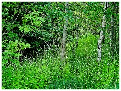 041 Cambourne in May  Linking the Perimeter to Great Cambourne