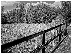 044 Cambourne in May  Linking the Perimeter to Great Cambourne