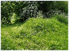 045 Cambourne in May  Jeavons Lane Wood