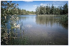 074 Cambourne in May  Whomping Willow Lake