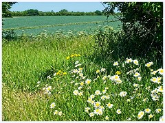 091 Cambourne in May  Views on Route