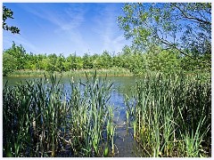 097 Cambourne in May  Redgrave Water