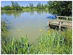 098 Cambourne in May  Lake Ewart