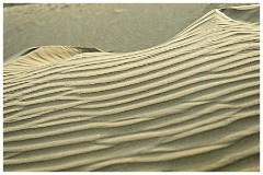 India Jaisalmer 83  Patterns in the Sand