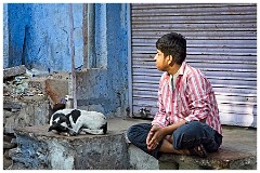 Jodhpur Day 1 006  Man and his Dog