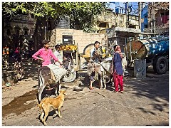 Jodhpur Day 1 014  Hard Work - The Women Carry Bowls of Concrete to the Donkeys