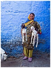 Jodhpur Day 2 023  Lady and her Goat and Kids