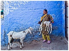Jodhpur Day 2 024  Lady and her Goat and Kids