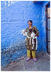 Jodhpur Day 2 025  Lady and her Goat and Kids