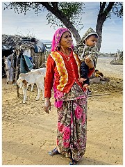 Journey from Jaisalmer to Jodhpur 06  The Home and Animals in the Background   - Sudokar