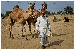 Journey from Jaisalmer to Jodhpur 43  The Camel Fair at Agolai