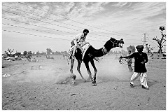 Journey from Jaisalmer to Jodhpur 45  The Camel Fair at Agolai