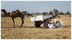 Journey from Jaisalmer to Jodhpur 48  The Camel Fair at Agolai