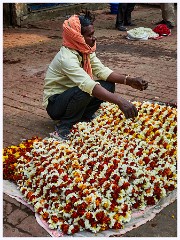 Varanasi 045  The Flower Market