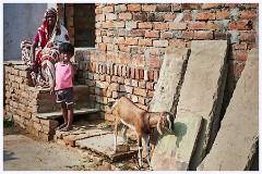 Varanasi 075  Saray Mohana Village