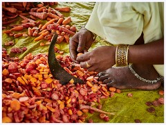 Varanasi 087  Shankapur Village- The Pickle Makers