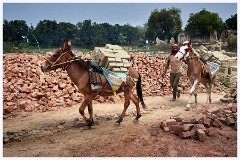 Varanasi 093  Shivbon Village - The Brickworks and its People
