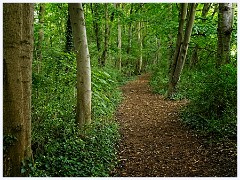 Anglesey Abbey - July