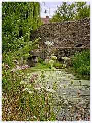 Abbey Gardens 003  The River Lark