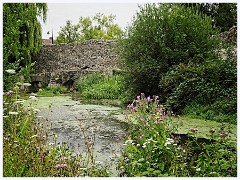 Abbey Gardens 004  The River Lark