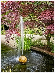 Abbey Gardens 014  The Water Garden